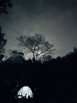 Glowing Tent in a Dark Forest at Night. Ranu Regulo Semeru Lumajang photo