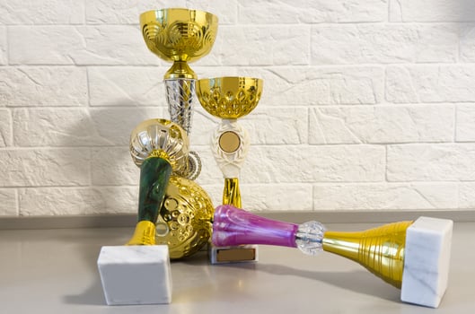 Cup trophy and medals for the competition photo