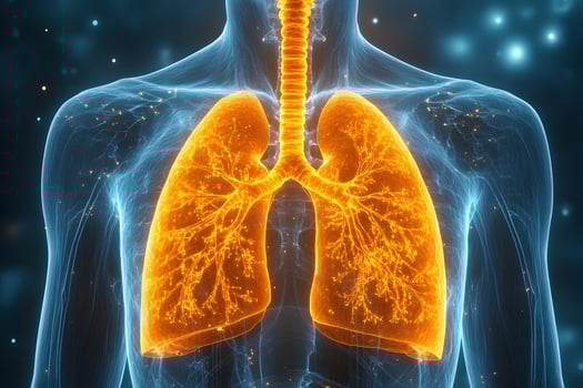 Human Respiratory System Visualization for Medical and Educational Use photo