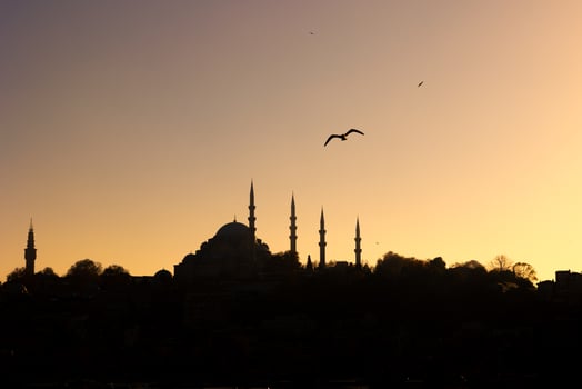 Silhouette of Suleymaniye Mosque and a seagull at sunset photo