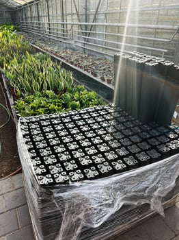 Greenhouse interior with various plants and organized growing supplies photo