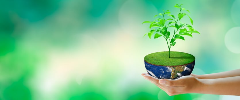 World mental health and World earth day. Elements furnished by NASA. Saving environment. photo