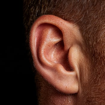 Close up of a human ear with hair photo