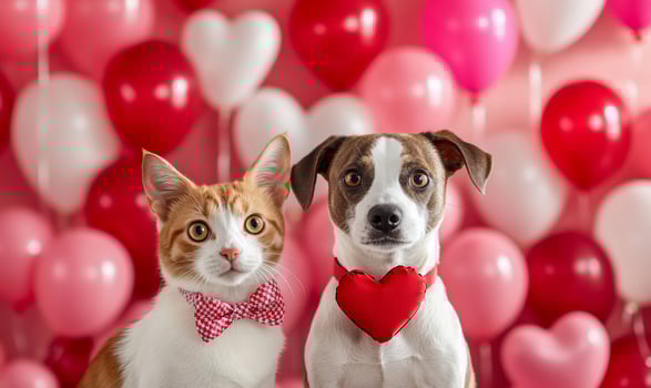 Two dogs and a cat are standing in front of balloons photo