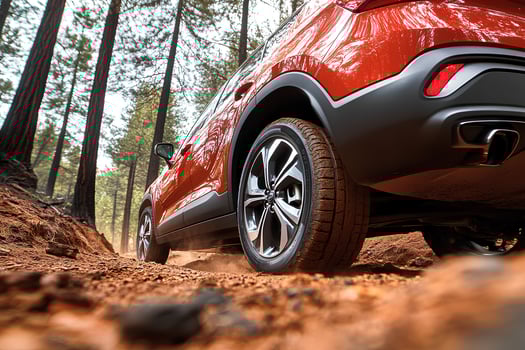 Vibrant red car driving along a winding road through a serene pine forest, surrounded by tall trees and natural beauty photo