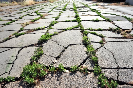 A natural scene showing broken asphalt pavement with green plants and weeds growing through the cracks, symbolizing nature's resilience and beauty reclaiming urban spaces photo