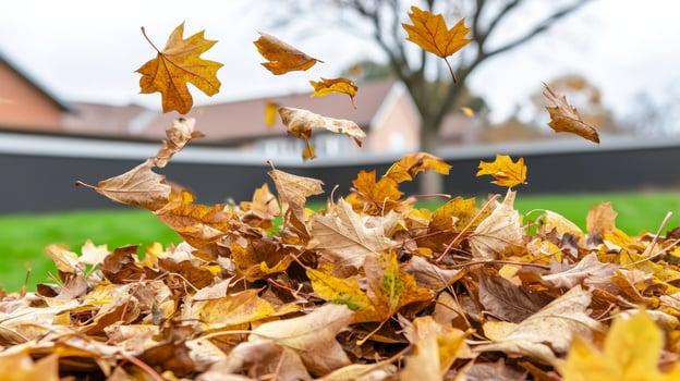 Golden Autumn Leaves on Green Lawn with Houses in Background photo