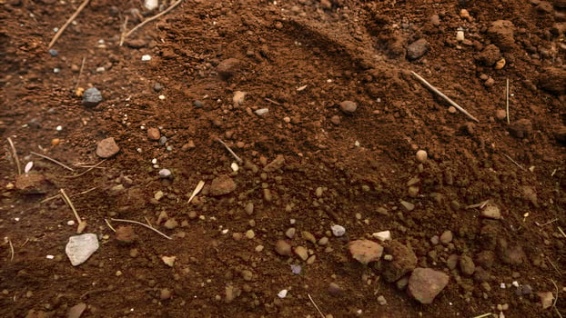 Brown Soil Texture Detailed Close-Up for Gardeners and Farmers photo