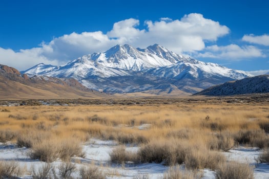 Boundary Peak dominating white snowy valley landscape in Nevada, United States photo