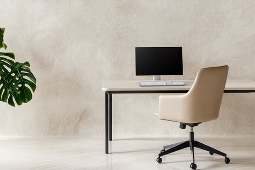 Minimalist home office workspace with computer, chair, and plant photo