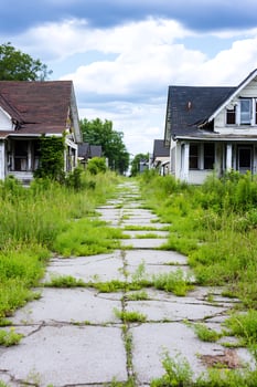 Overgrown street in abandoned neighborhood photo