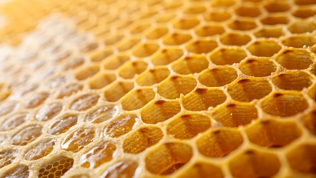 Honeycomb Structure Detailed Close-Up for Nature Enthusiasts and Designers, Perfect for Educational Content and Creative Projects photo