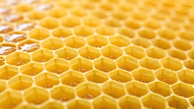 Honeycomb Close-Up Detailed Texture for Food Photography and Culinary Designers photo