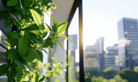A green plant growing in front of a window photo