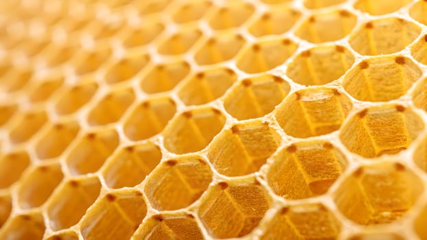 Golden honeycomb pattern, intricate hexagonal wax structure, natural bee hive close up, detailed and symmetrical design. photo