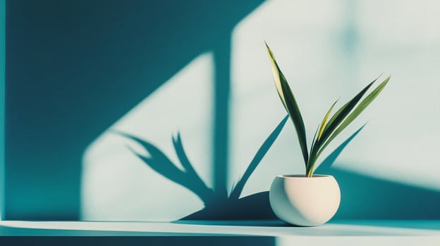 Minimalist plant in a white pot casting sharp shadows on a cool-toned wall, showcasing simplicity and the interplay of light and shadow. photo