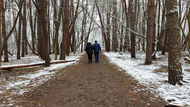 Mature couple going on snowy path at winter pine forest. Senior husband and wife walking through trail at coniferous woodland. Older pair of pensioners spending time together at nature photo