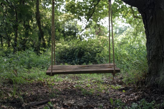 Rustic Wooden Swing in Overgrown Garden Evoking Childhood Memories and Nostalgia photo