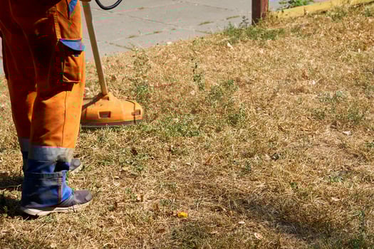 Grass cutting on lawns with a mini handle lawn mower photo