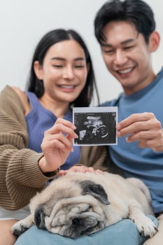 Excited couple shares ultrasound image while sitting on a couch with their sleeping dog photo