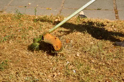 Summer grass cutting on lawns with a mini handle lawn mower photo