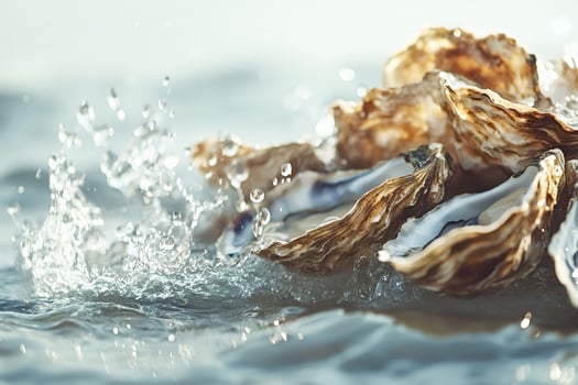 Fresh oysters submerged in sparkling water with gentle splashes photo