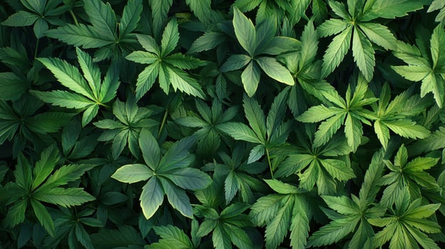 Lush green leafy background nature scene close-up view vibrant environment natural concept for relaxation photo