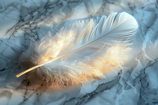 A white feather laying on a marble surface photo
