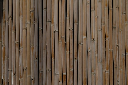 Natural beauty of bamboo planks creating a rustic wall in serene environment photo