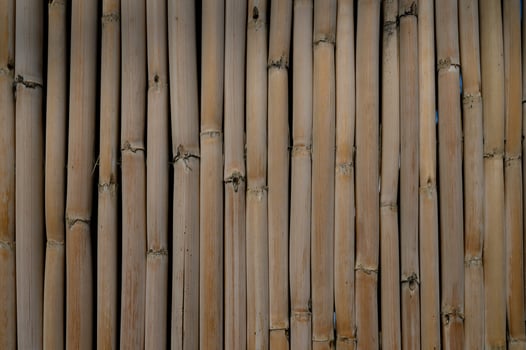 Bamboo wall texture creates a serene backdrop for a peaceful retreat setting photo