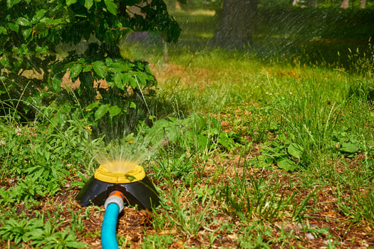 Irrigation garden system. Sprinkler watering greenery on a hot day in a city park photo