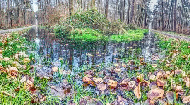 Moor pond in a dense forest with reflections and autumn colors 21 photo