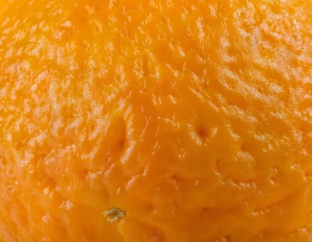 Macro Shot of Fresh Orange Peel with Detailed Pores and Bright Color photo