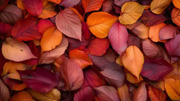 A vibrant tapestry of fallen leaves in a rich palette of autumnal colors. Celebrating the beauty of the season with this natural mosaic. photo