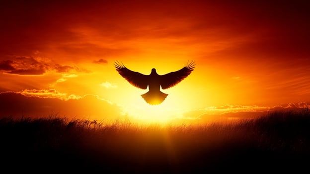 Silhouette of bird in flight against setting sun, creating striking contrast and sense of freedom. Orange sky adds to warmth. photo