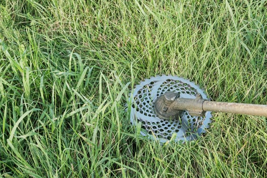 Trimmer disc against green grass background photo