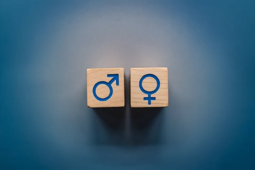 Wooden blocks with male and female symbols on a gradient blue background photo