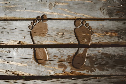 Muddy footprints on weathered wooden planks, cracks and moisture visible photo