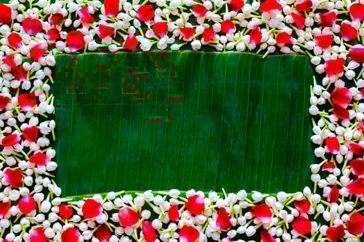 Empty space of wet banana leaf with jasmine and rose petals background for Thailand Songkran festival background. photo