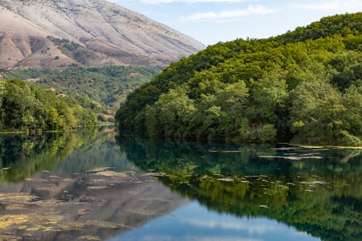 wild nature in Albania photo