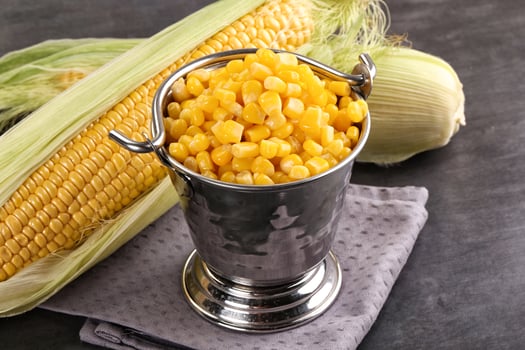 Corn in a metal bucket on a table photo