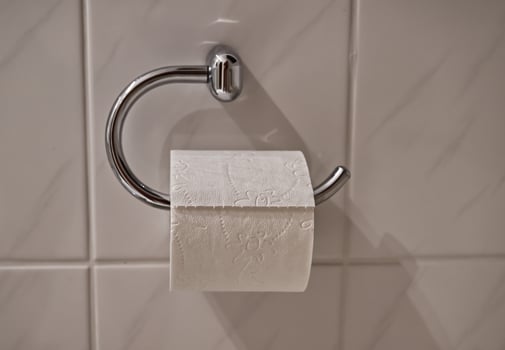Close-up of Toilet Paper Roll on Chrome Holder photo