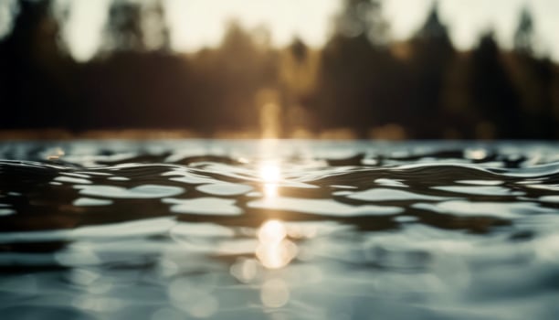 Lake sun water photo