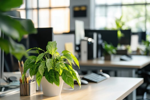 Syngonium plant enhances office ambiance with a touch of nature and fresh greenery photo