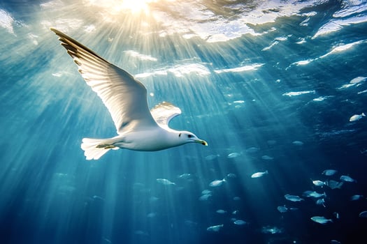 Seagull fly underwater with sunbeam and school of fish photo