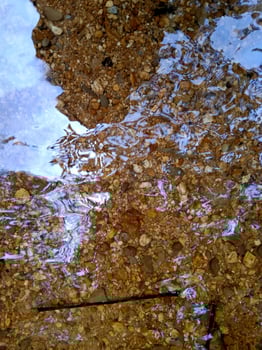 Natural Clear Still Water photo
