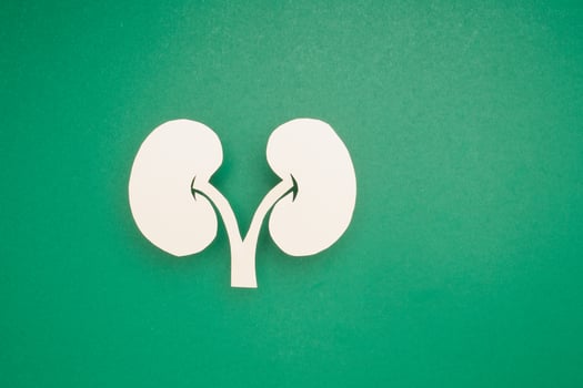 White human kidney symbol on a green background photo