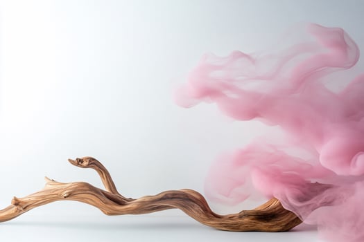 Pink Smoke and Driftwood on White photo