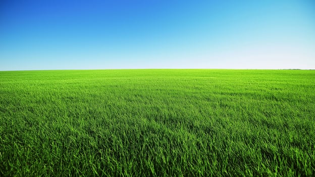 Grass field with clear blue sky on the background. Carbon footprint concept photo