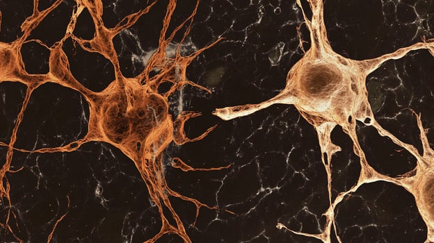 A detailed microscopic view showcases interconnected neural networks in shades of brown and black, highlighting biological complexity. photo